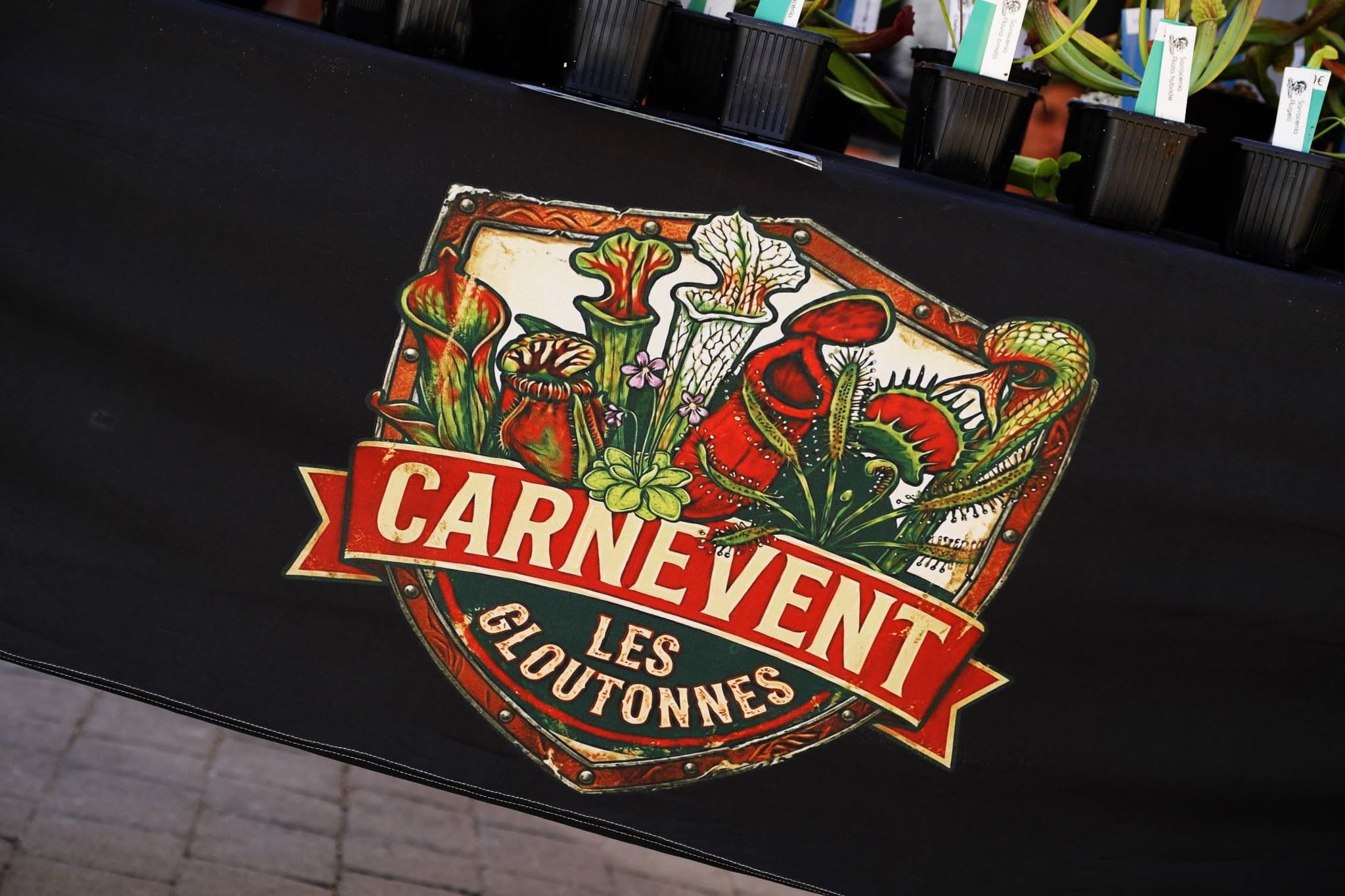 Logo CarnEvent